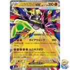 Mega Zygarde ex