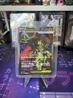 Mega Zygarde ex