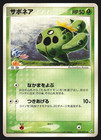 Cacnea