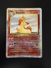 Rapidash