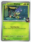 Team Rocket's Blipbug