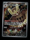 Noctowl
