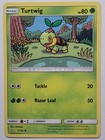 Turtwig