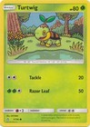 Turtwig