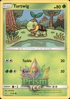 Turtwig