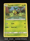 Turtwig