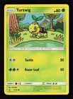 Turtwig