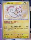Pachirisu