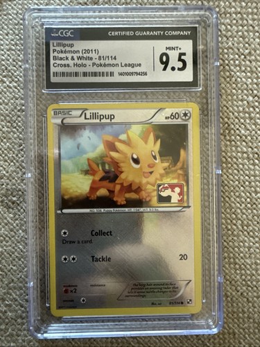 Lillipup