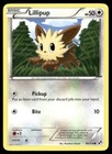Lillipup