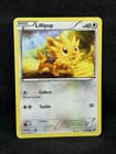 Lillipup