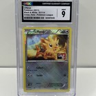 Lillipup