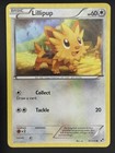 Lillipup