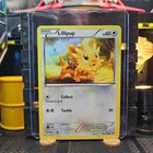Lillipup