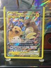 Raichu & Alolan Raichu Tag Team GX