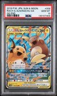 Raichu & Alolan Raichu Tag Team GX