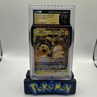 Raichu & Alolan Raichu Tag Team GX