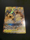 Raichu & Alolan Raichu Tag Team GX