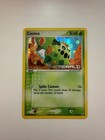 Cacnea