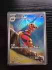Krokorok