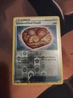 Unidentified Fossil