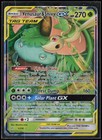 Venusaur & Snivy GX