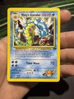 Misty's Gyarados