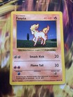 Ponyta
