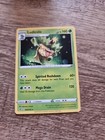 Ludicolo