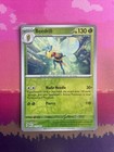 Beedrill