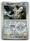 Minccino