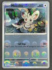 Minccino