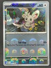 Minccino