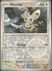 Minccino
