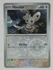 Minccino