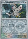 Minccino