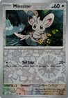 Minccino