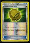Dome Fossil Kabuto