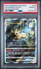 Leafeon V