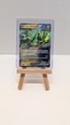 Iron Thorns Ex