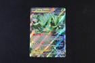 Iron Thorns Ex