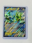 Iron Thorns Ex