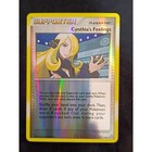 Cynthia's Feelings