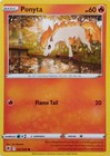 Ponyta