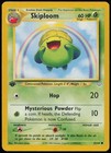 Skiploom