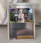Professor's Research