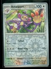 Ambipom