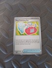 Bug Catching Set