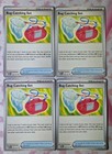 Bug Catching Set