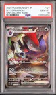N's Zoroark ex